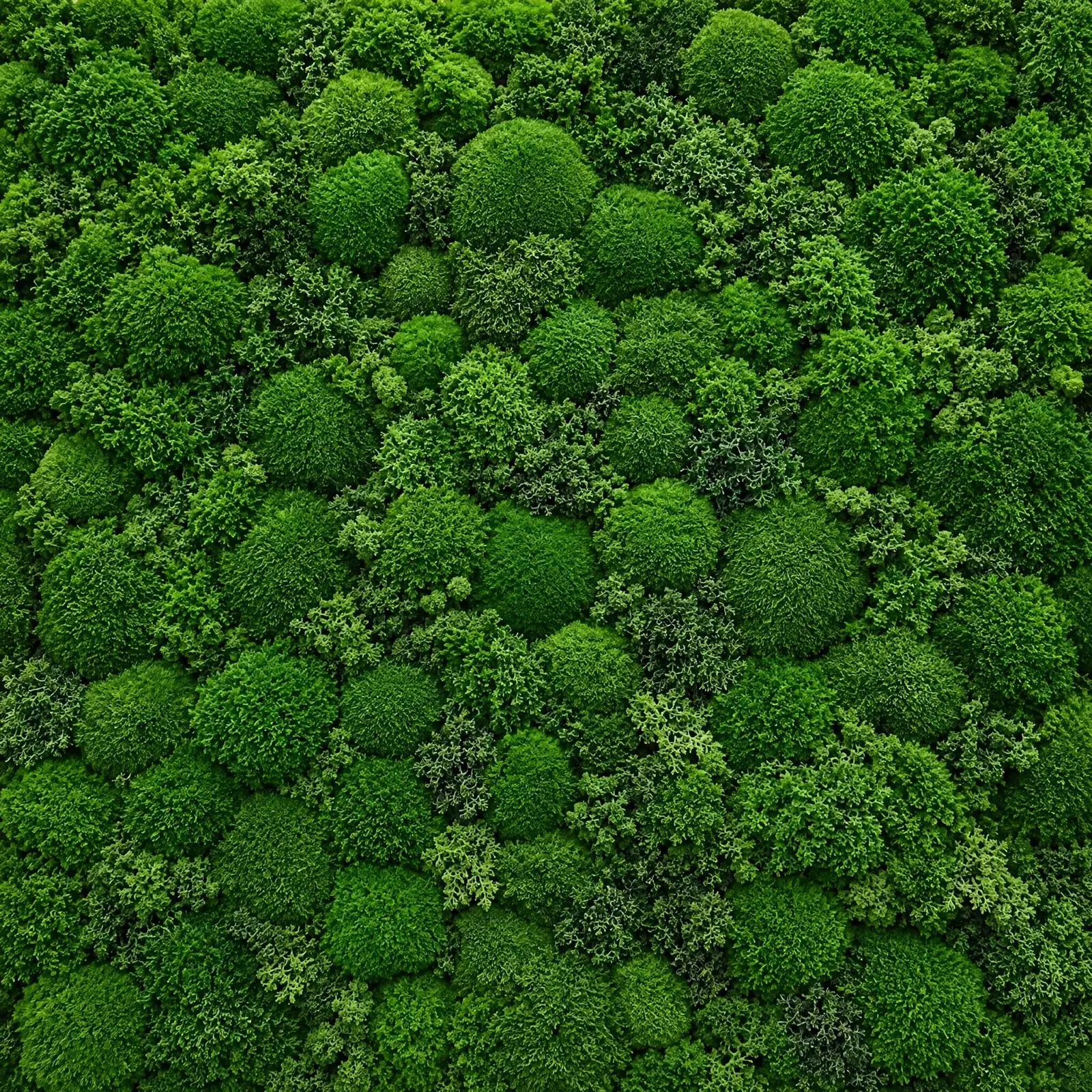 Simple moss: preserved pillow, reindeer, and sheet moss in layered greens